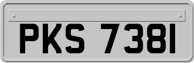 PKS7381