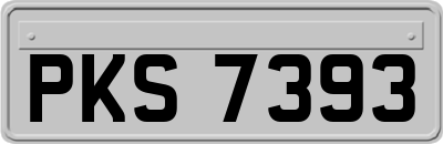 PKS7393