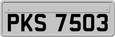 PKS7503