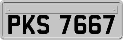 PKS7667