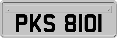 PKS8101