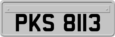 PKS8113