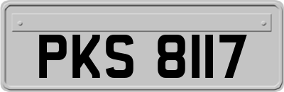 PKS8117