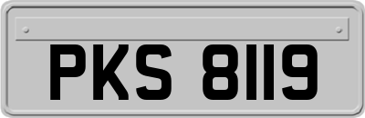 PKS8119