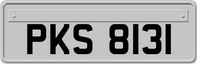PKS8131