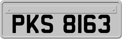 PKS8163