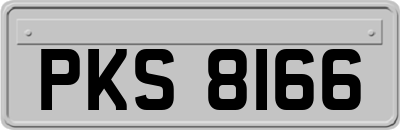 PKS8166