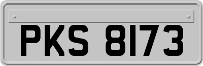 PKS8173