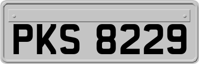 PKS8229