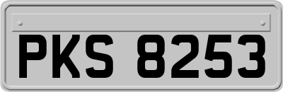 PKS8253