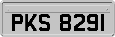 PKS8291