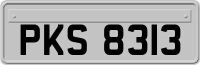 PKS8313