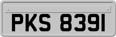 PKS8391