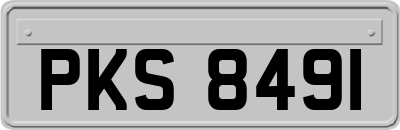 PKS8491