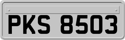 PKS8503