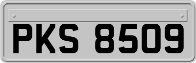 PKS8509