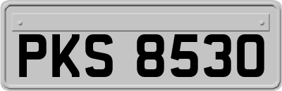 PKS8530