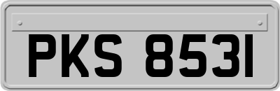 PKS8531