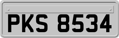 PKS8534