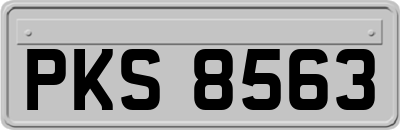 PKS8563