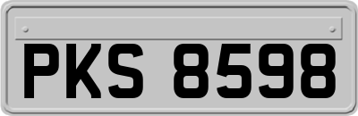 PKS8598