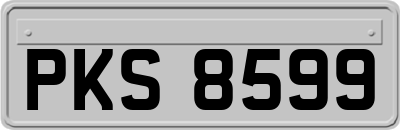 PKS8599