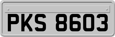 PKS8603