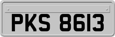 PKS8613