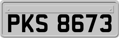 PKS8673