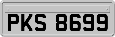 PKS8699