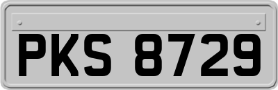 PKS8729