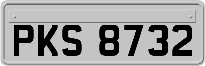 PKS8732