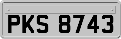 PKS8743