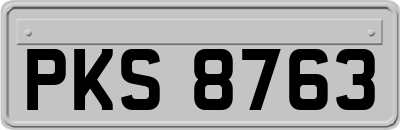 PKS8763