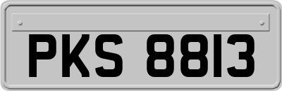 PKS8813