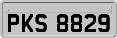 PKS8829