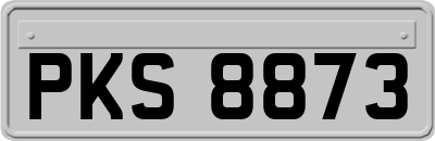 PKS8873