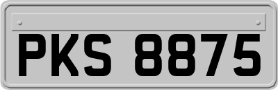 PKS8875