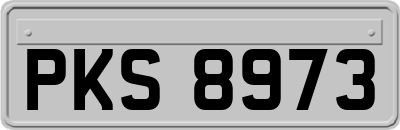 PKS8973