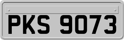 PKS9073