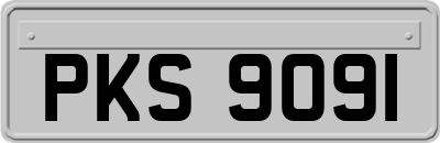 PKS9091