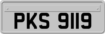 PKS9119