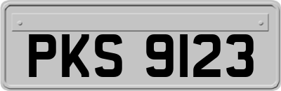 PKS9123