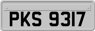 PKS9317