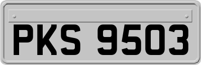 PKS9503