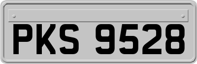 PKS9528