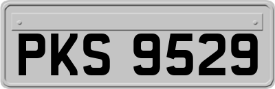PKS9529
