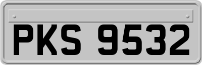 PKS9532