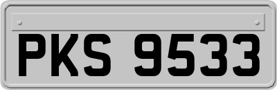 PKS9533