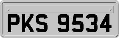 PKS9534